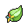 Starf Berry