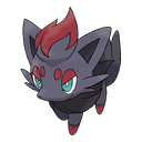 Zorua